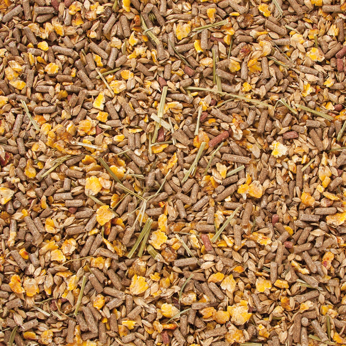 Original Getreide-Mix Gold