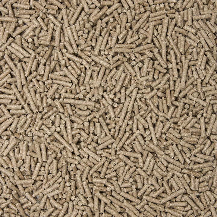 terabb E