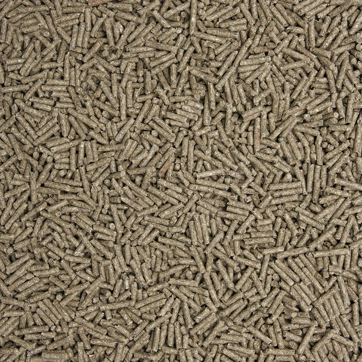 Original Terabb-ZF