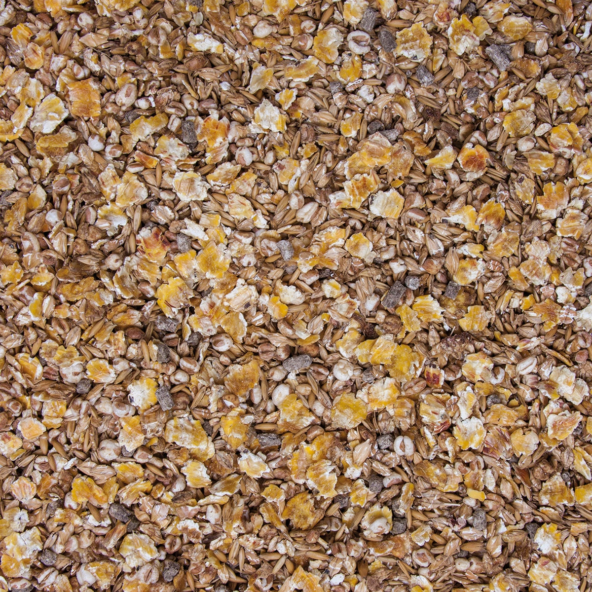 Original Vollkorn-D-Mix